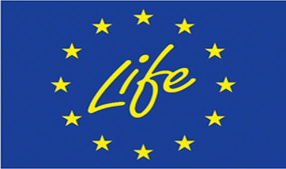 SOSİAD, 'REAL ALTERNATİVES FOR LIFE' PROJESİNİN İKİNCİ SAFHASINDA SOSYAL ORTAK OLARAK YER ALIYOR SOSİAD, 'REAL ALTERNATİVES FOR LIFE' PROJESİNİN İKİNCİ SAFHASINDA SOSYAL ORTAK OLARAK YER ALIYOR