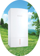 Bosch’tan Doğaya 850 Bin Meşe Tohumu Hediye Bosch’tan Doğaya 850 Bin Meşe Tohumu Hediye