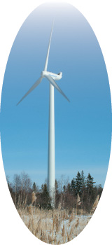 Sürdürülebilir Bir Gelecek İçin Winwind Rüzgarın  Gücünü Kullanıyor