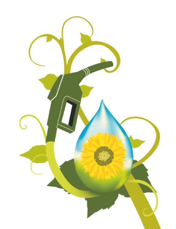 Biyoyakıtta Çığır Açacak Buluş