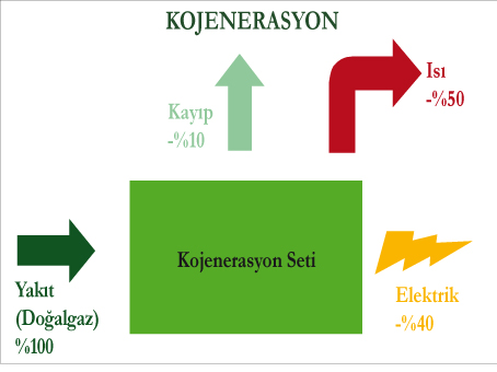 Neden Kojenerasyon? Neden Kojenerasyon?