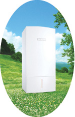 Bosch’tan 850 Bin Meşe Tohumu
