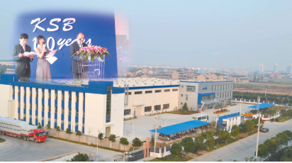 2011 KSB Eğitim Yılı Oldu