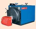 TERMO