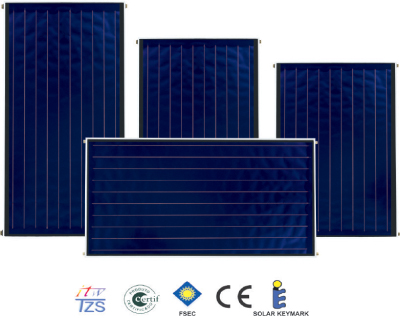 Ezinç A.Ş. Satış Müdürü Ali Arslan: “Ezinç 2012’de Yüzde 30 Büyüyecek”