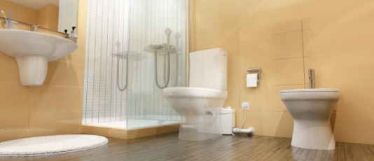 SFA Sanihydro  WC Öğütücüleri ve Pompaları