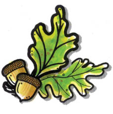 Bosch Isı Sistemleri TEMA ile Yaptığı İşbirliğine Devam Ediyor