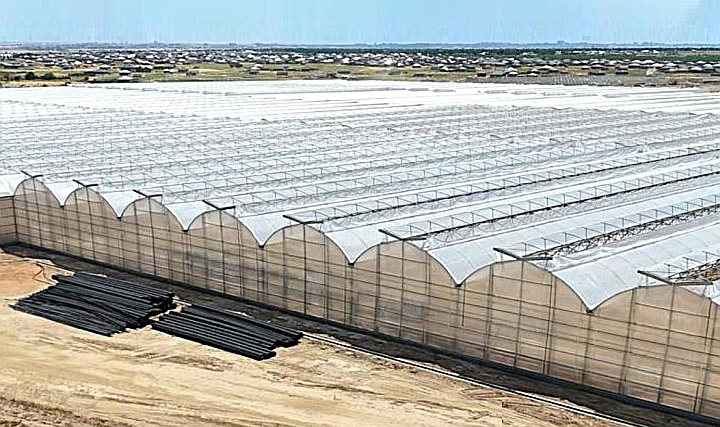 Kazakistan'daki Sera Projesinin Isıtması Mimsan'a Emanet